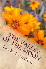 The Valley of the Moon