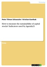 How to measure the sustainability of capital stocks? Indicators used by Agenda21