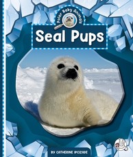 Seal Pups