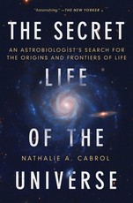 The Secret Life of the Universe