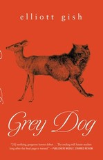 Grey Dog