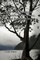 High In the Mountains Somewhere Over China, A Bird Reels & Floats