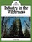 Industry in the Wilderness