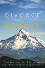 Divorce Heroes