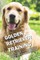 Golden Retriever Training