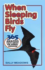 When Sleeping Birds Fly