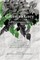 Green to Grey