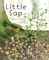Little SAP