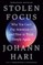 Stolen Focus
