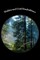 Walden and Civil Disobedience