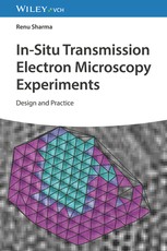 In Situ Transmission Electron Microscopy Experiments