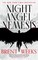 Night Angel Nemesis