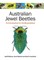 Australian Jewel Beetles