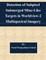 Detection of Subpixel Submerged Mine-Like Targets in Worldview-2 Multispectral Imagery