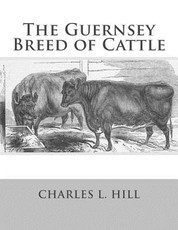 The Guernsey Breed of Cattle