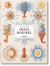 The Art and Science of Ernst Haeckel