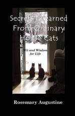 Secrets I Learned From Ordinary House Cats