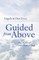 Guided from Above