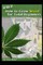 A to Z How to Grow Weed for Total Beginners