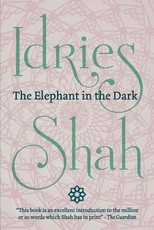 The Elephant in the Dark