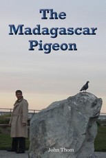 The Madagascar Pigeon