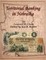 Territorial Banking in Nebraska