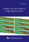 Capillary Flow and Collapse in Wedge-Shaped Channels