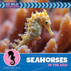 Sea Horses in the Wild