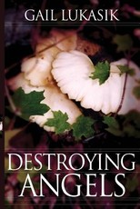 Destroying Angels