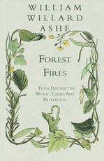 Forest Fires - Their Destructive Work, Causes And Prevention