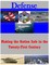 Making the Nation Safe in the Twenty-First Century