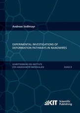 Experimental Investigations of Deformation Pathways in Nanowires