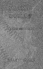 Corporate Intent #2: Missing Owner? (Complete)