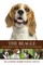 The Beagle