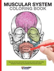 Muscular System Coloring Book