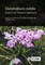 Dendrobium Nobile