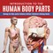 Introduction to the Human Body Parts | Biology for Kids Junior Scholars Edition | Children's Biology Books