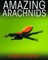 Amazing Arachnids