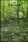 Off the Beaten Path