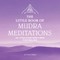 The Little Book of Mudra Meditations
