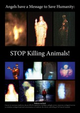 Stop Killing Animals!
