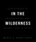 In the Wilderness: Experiences of Encountering God