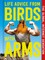 Life Advice from Birds with Arms