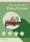 The Illustrated Art of Paper-Cutting