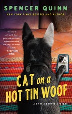 Cat on a Hot Tin Woof