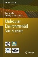 Molecular Environmental Soil Science