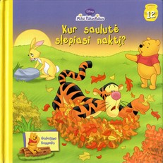 Kur saulutė slepiasi naktį? Galvojimo kampelis