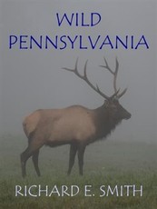 Wild Pennsylvania
