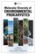 Molecular Diversity of Environmental Prokaryotes