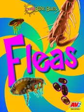 Fleas